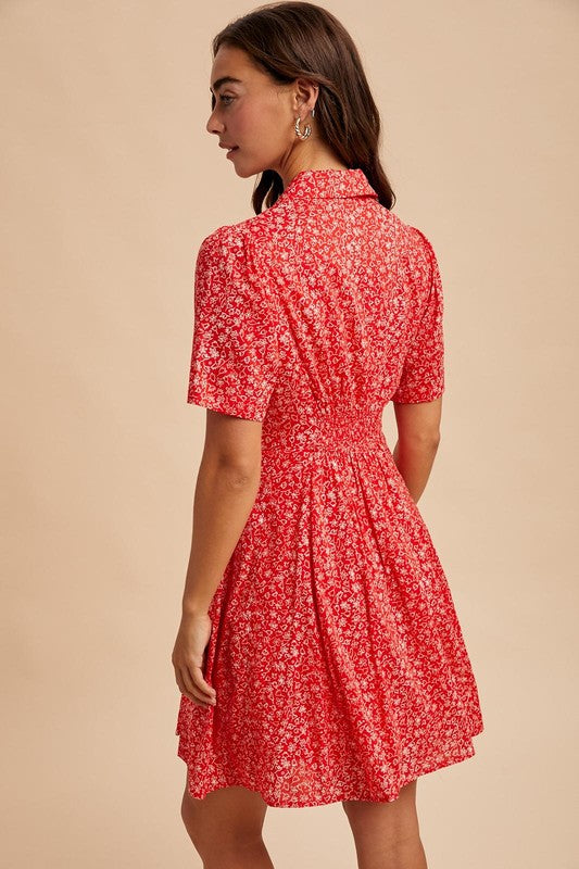 Clothed In Scarlet Dress